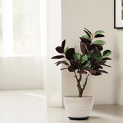 Bold Fiddle Artificial Plant - Artificial Plant | Indoor Plant|Decorative Plant|Artificial Greenery|Low-Maintenance Plants|Green DecoR|Nature-Inspired Decor | Artificial Plants Room Decor | Tropical Fake Plant in Pot